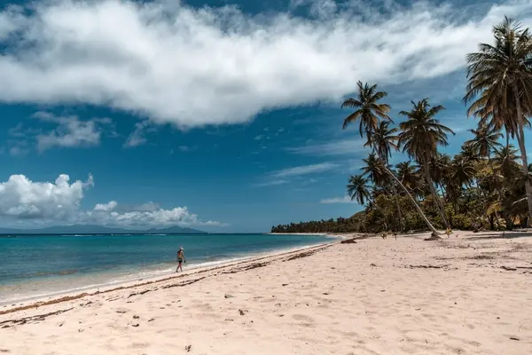 Luxury Villas in Guadeloupe